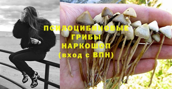 герыч Алексин